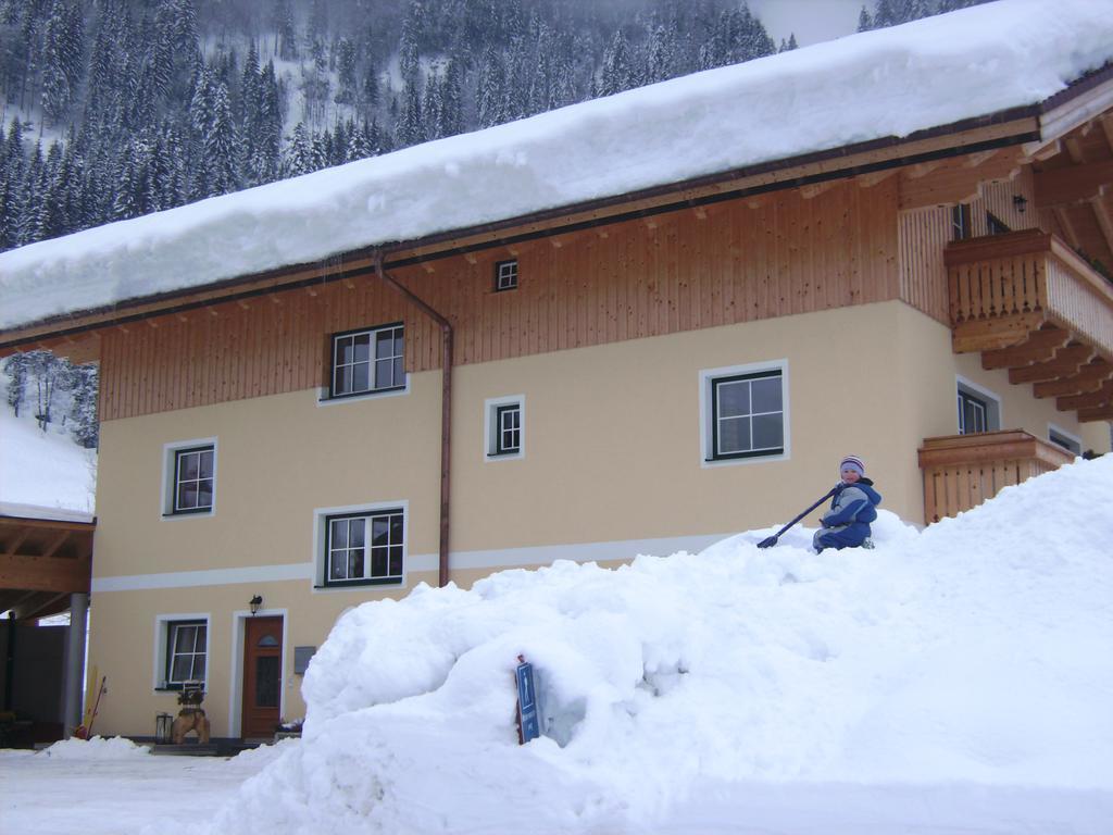 Bio Bauernhof Vorderoberlehen Hotel Werfenweng Ngoại thất bức ảnh